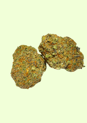 Gorilla Mandarina