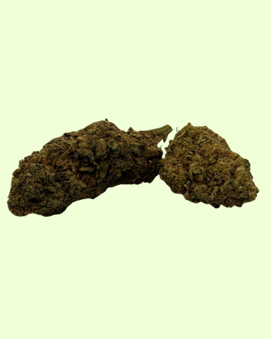 Papaya